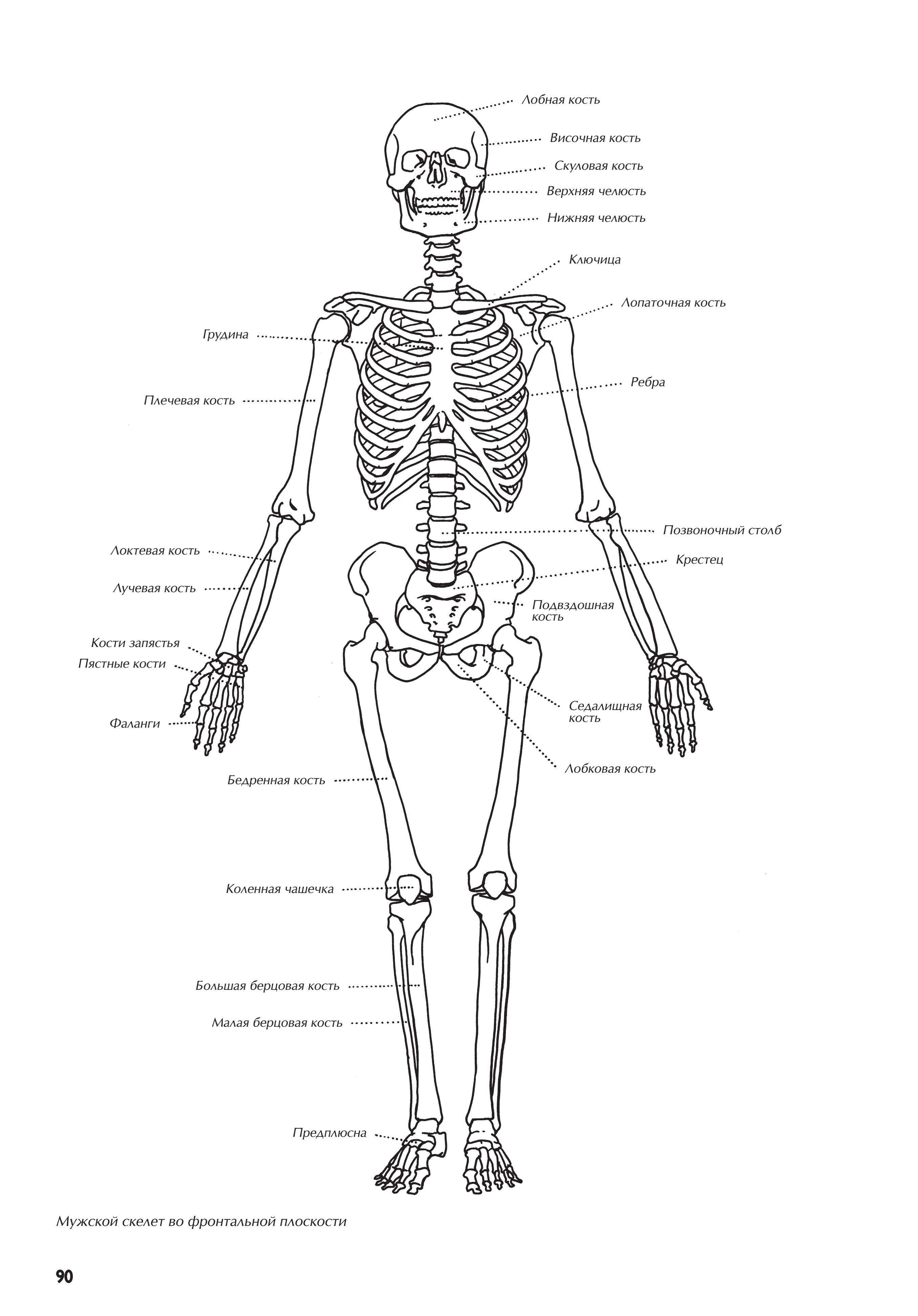 آموزش نقاشی طراحی سیاه قلم شهرری